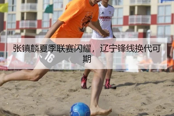 zhang-zhen-lin-xia-ji-lian-sai-shan-yao-liao-ning-feng-xian-huan-dai-ke-qi-2-355.jpg